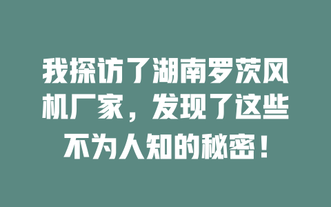 我探訪了湖南羅茨風(fēng)機(jī)廠家,發(fā)現(xiàn)了這些不為人知的秘密! 一