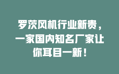 羅茨風機行業新貴，一家國內知名廠家讓你耳目一新！ 一
