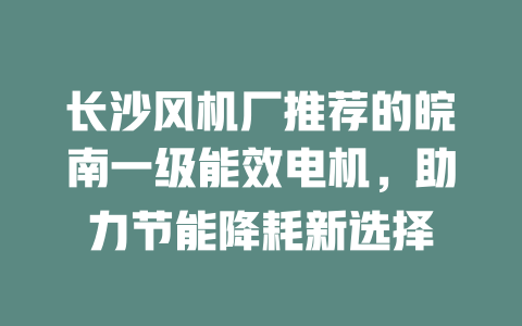 長(zhǎng)沙風(fēng)機(jī)廠推薦的皖南一級(jí)能效電機(jī)，助力節(jié)能降耗新選擇 一